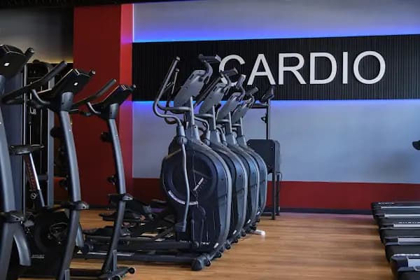 Sport Vision Plus - Bornova Reformer Pilates &amp; Spor Salonu - Spor salonu - İzmir Balçova