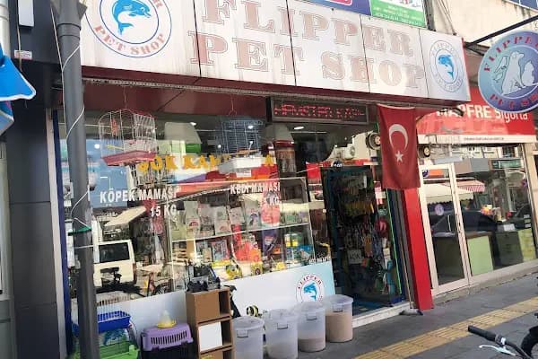 Flipper Pet Shop - Evcil hayvan mağazası - Kocaeli Başiskele