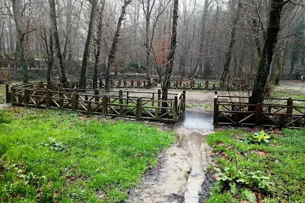 Neşetsuyu Tabiat Parkı - Milli Park - İstanbul Bahçelievler