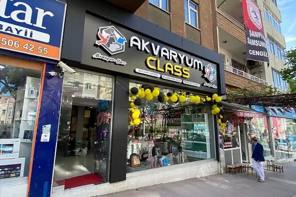 Akvaryum Class - Evcil hayvan mağazası - Samsun İlkadım