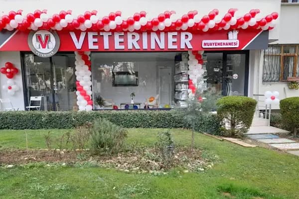 19 Mayıs Veteriner Kliniği - Veteriner - İstanbul Bakırköy