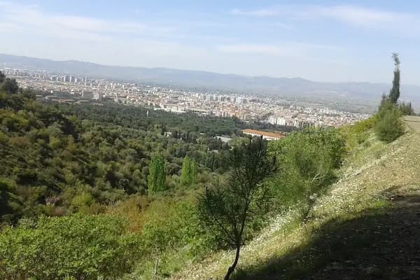 Şanzelize - Gece kulübü - Manisa Salihli