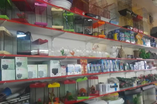 Bitirim Pet Shop - Evcil hayvan mağazası - Mersin Tarsus