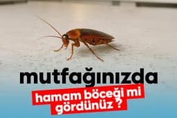 SON İLAÇLAMA