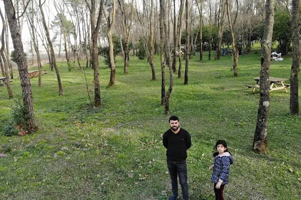 Sarıgazel Tabiat Parkı - Milli Park - Samsun 19 Mayıs