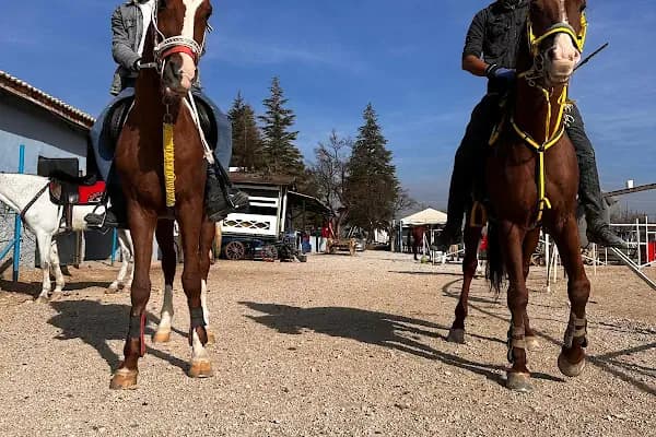 Altay Atlı Spor Kulübü - Binicilik Kulübü - Konya Meram
