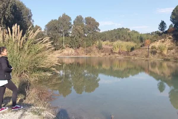 Karadenizliler Ormanı - Park - Adana Sarıçam