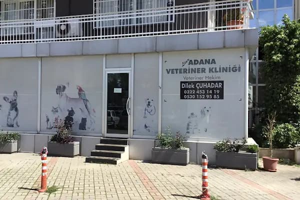 ADANA LiNA VETERİNER KLİNİĞİ - Veteriner - Adana Seyhan