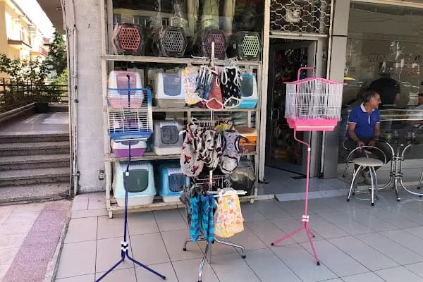 Eylül Pet Shop - Evcil Hayvan Malzemeleri Mağazası - Ankara Altındağ