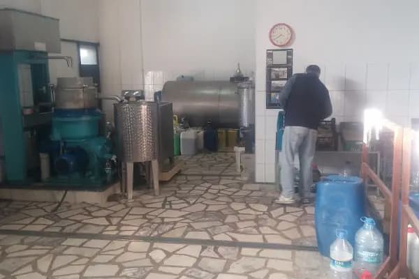 İslamhaneleri Zeytin Sıkma Fabrikası - Zeytinyağı Kooperatifi - Muğla Dalaman