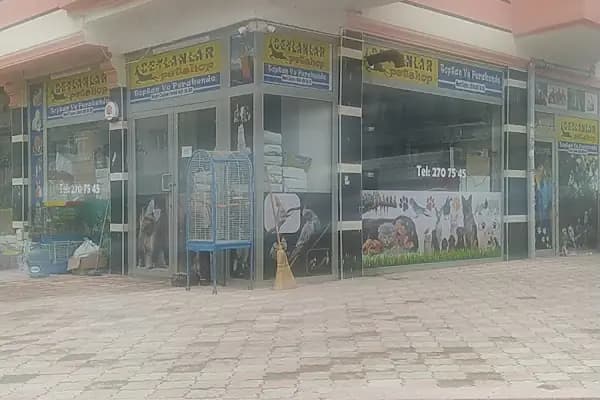 CEYLANLAR PETSHOP TOPTAN - Evcil Hayvan Malzemeleri Mağazası - Ankara Sincan