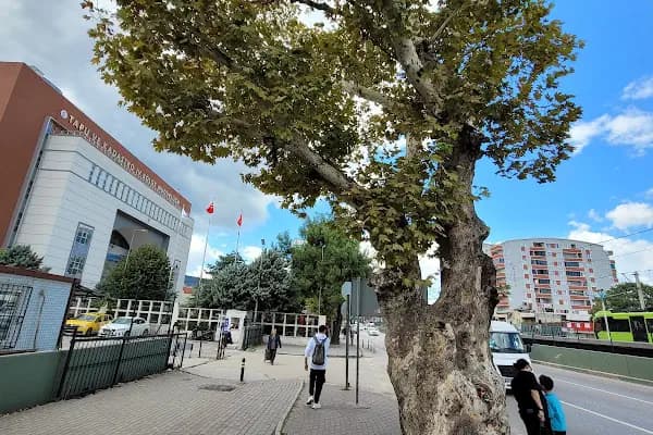 TAPU VE KADASTRO ÇALIŞANLARI DERNEĞİ - Sivil Toplum Kuruluşu - Bursa Nilüfer