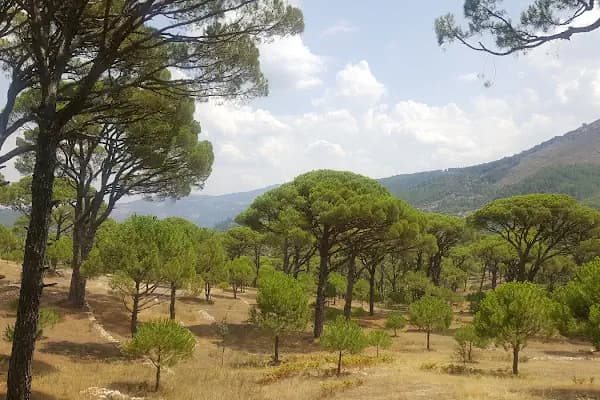 Bozdoğan Doğa Koruma Alanı - Doğa Koruma Alanı - Aydın Söke