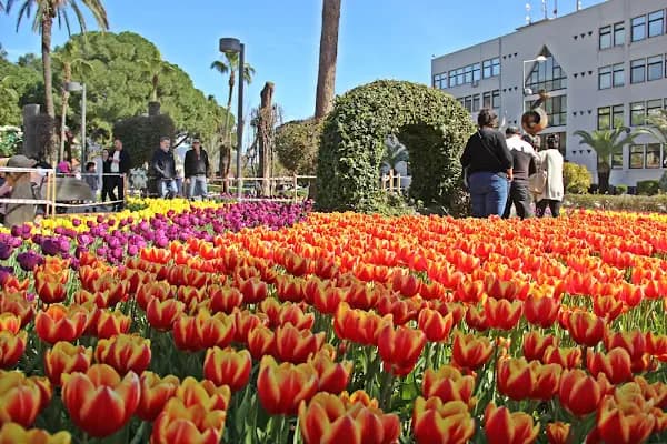 Mola Kavşağı - İlgi Çekici Yer - Antalya Alanya