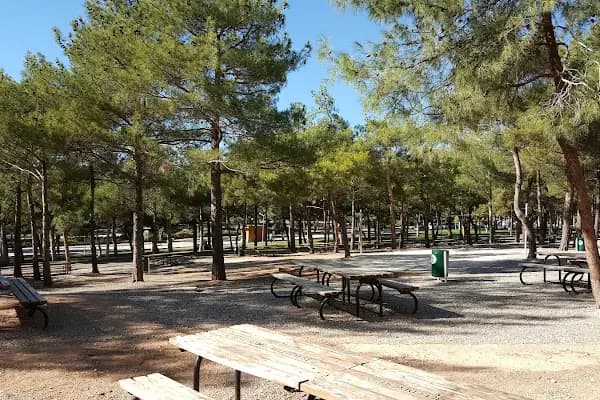 Erikçe Piknik Alanı - Piknik Alanı - Gaziantep Şahinbey