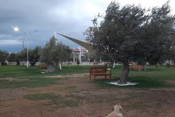 Zeytin Park - Park - İzmir Bergama