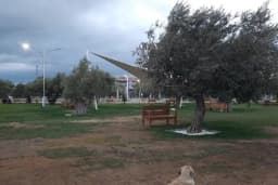 Zeytin Park