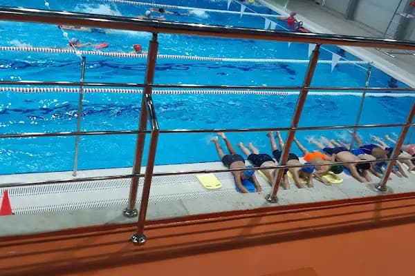 Esenler Kapalı Yüzme Havuzu - Yüzme havuzu - İstanbul Bağcılar