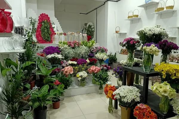 Pursaklar Çiçekçi Çiçek Evi - Çiçekçi - Ankara Etimesgut