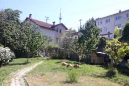 Aksu Köyü Muhtarlığı