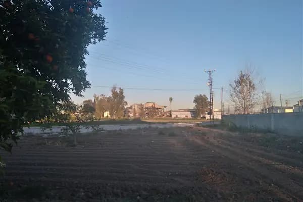Kelemeti Mahallesi Spor, Dinlenme ve Çocuk Parkı - Park - Adana Ceyhan