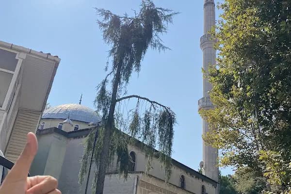 Cevizli Çınar Camii - Cami - İstanbul Kartal