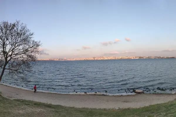 Avcılar Belediyesi Paşaeli Kent Parkı - Park - İstanbul Avcılar