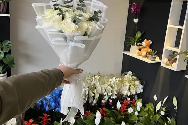 Rose çiçekçilik - Çiçekçi - İstanbul Ataşehir