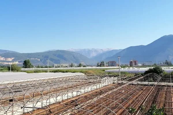 Teiaş Finike Trafo Mer. - Elektrik Santrali - Antalya Finike