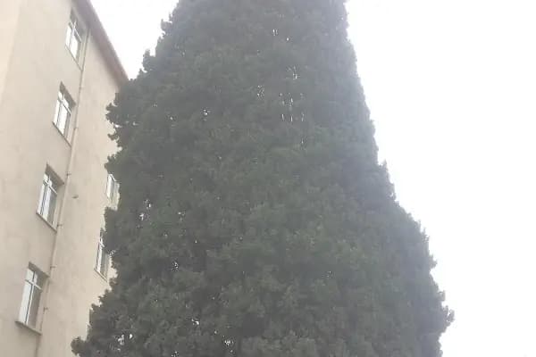 Evliyaullah Tan Şeyh Kemikli Hazretleri Türbesi - Cami - İstanbul Adalar