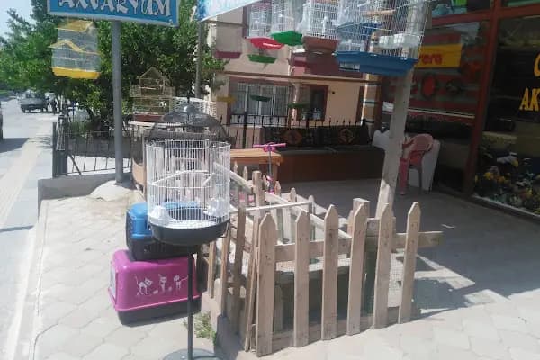 Ceyhun Petshop - Evcil hayvan mağazası - Ankara Yenimahalle