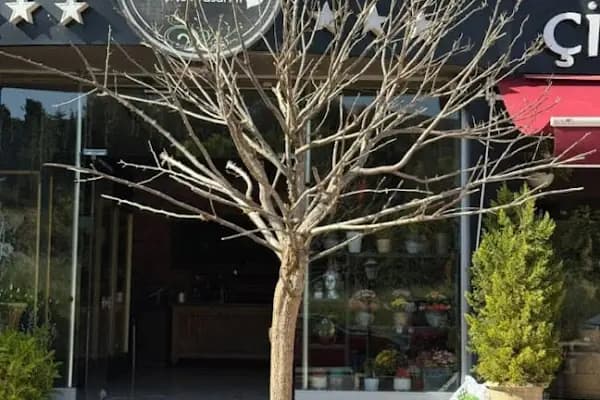 Detay Çiçek Mağazası-Ataşehir - Çiçekçi - İstanbul Bağcılar