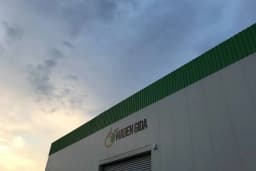 Maden Gıda Kuru İncir Soğuk Sıkım Zeytinyağı Nazilli