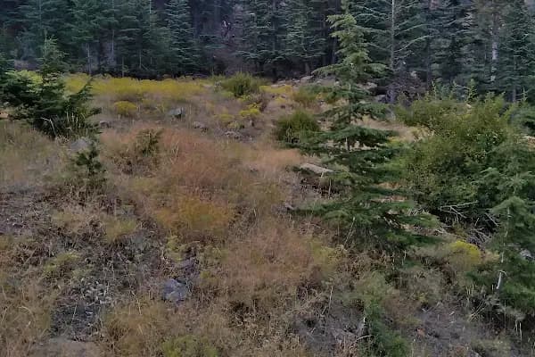 aladağlar milli parkı tekir çimeği - Milli Park - Adana Kozan