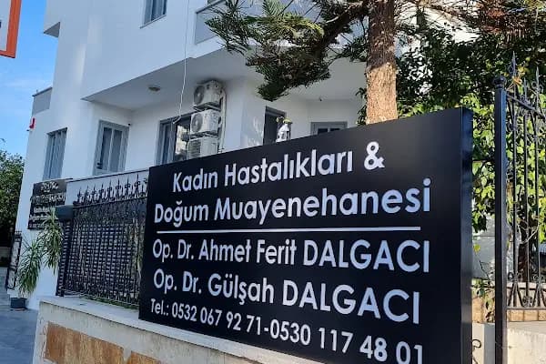 Op. Dr. Ahmet Ferit Dalgacı, Kadın Hastalıkları Ve Doğum - Doktor - Adana Çukurova