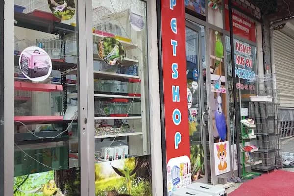 Kısmet kuş evi petshop - Evcil Hayvan Malzemeleri Mağazası - İstanbul Bağcılar