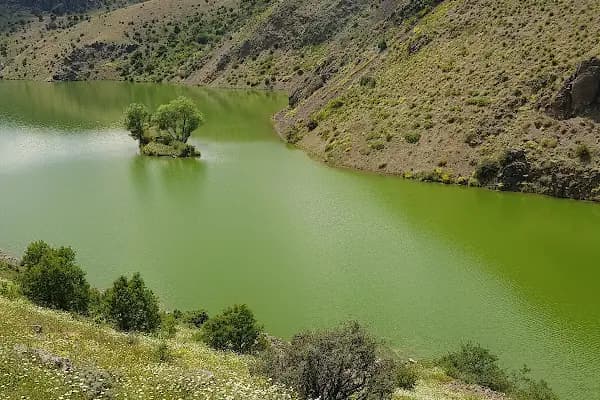 Çanuh Göleti - Gölet - Ankara Ayaş