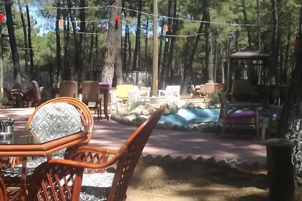 Kozalak Cafe Restaurant Tesisleri - Kafe - İstanbul Arnavutköy