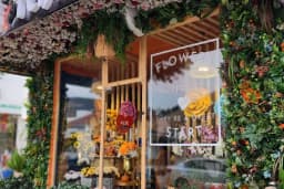 Fenix Flower / Yalikavak Florist / Yalikavak Çiçek