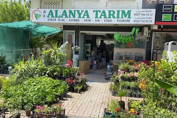 ALANYA TARIM - Tarımsal Hizmet Sağlayıcısı - Antalya Döşemealtı