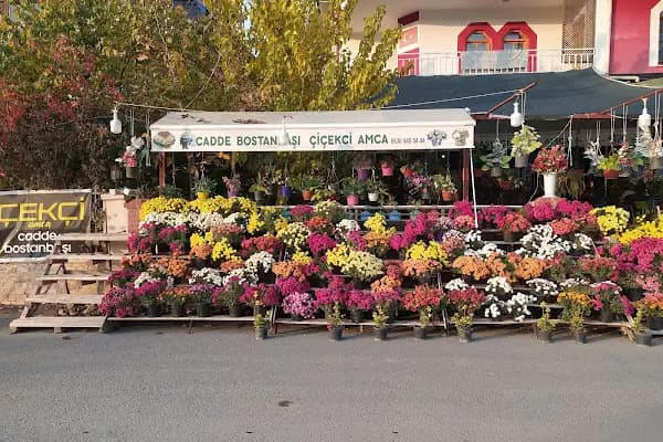 Cadde Bostanbaşı çiçekçi amca - Çiçekçi - Malatya Yeşilyurt