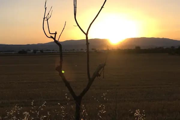 Özgürcanlar Un ve Yem - Un Fabrikası - Antalya Alanya