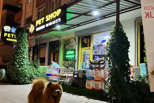 Tospik Petshop - Evcil hayvan mağazası - Ankara Sincan
