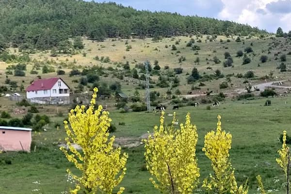 Çamlıdere - Yerleşim Yeri - Ankara Çamlıdere