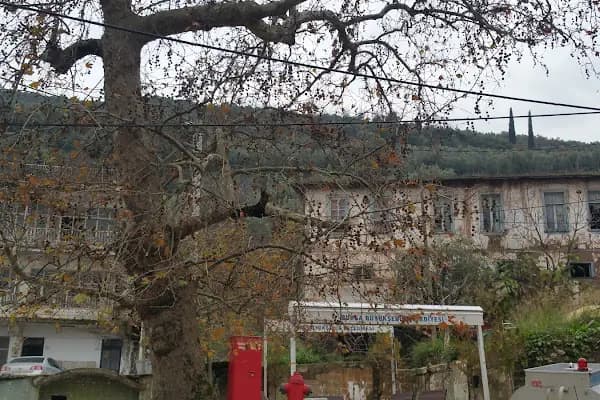 Gençali Köyü Cami - Cami - Bursa Gemlik