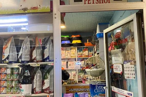 Ataköy ezgi petshop - Evcil hayvan mağazası - İstanbul Bakırköy