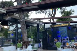 Calanthe Büyükada