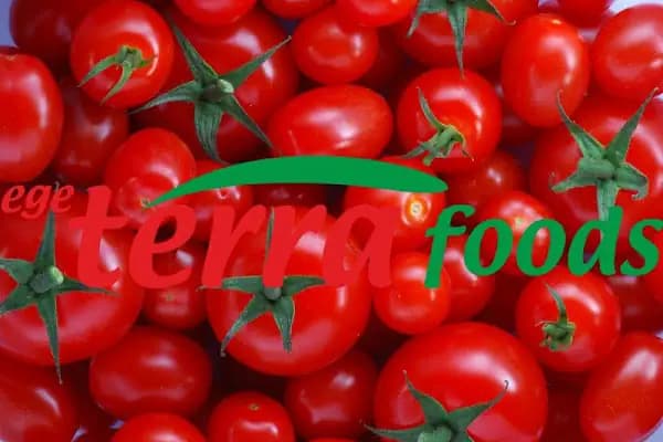 EGE TERRA GIDA TARIM SANAYİ TİCARET LTD. ŞTİ. - Gıda Üreticisi - İzmir Aliağa