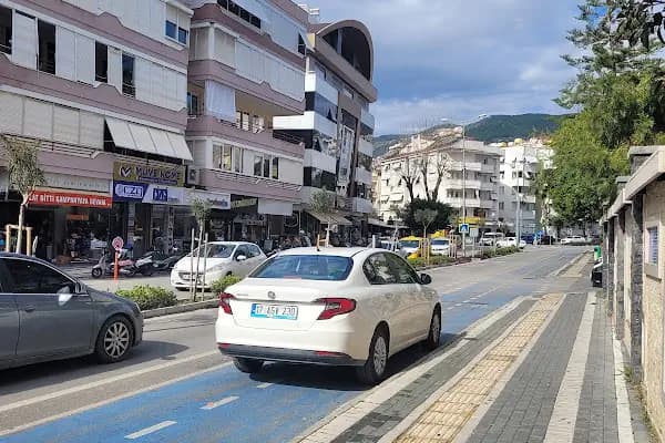 Op. Dr. Vedat Kürkçü - Akupunktur Kliniği - Antalya Alanya