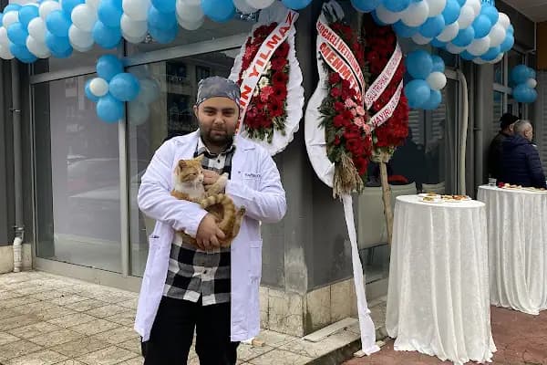 Bal Veteriner Kliniği - Veteriner - Kocaeli Gölcük